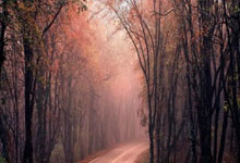 米体谈莫塔失去更衣室支持：管理混乱+流动队长制+打压功勋.