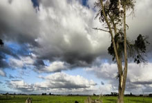 开云：2万人面前，48岁夏奇拉炮轰皮克：可耻！解雇保姆不赔偿.