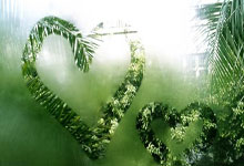 开云：2万人面前，48岁夏奇拉炮轰皮克：可耻！解雇保姆不赔偿.