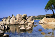 开云：2万人面前，48岁夏奇拉炮轰皮克：可耻！解雇保姆不赔偿.